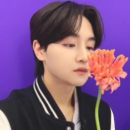 Hikaru gallery image