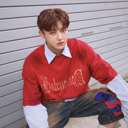 Hikaru gallery image