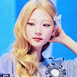 Stella gallery image