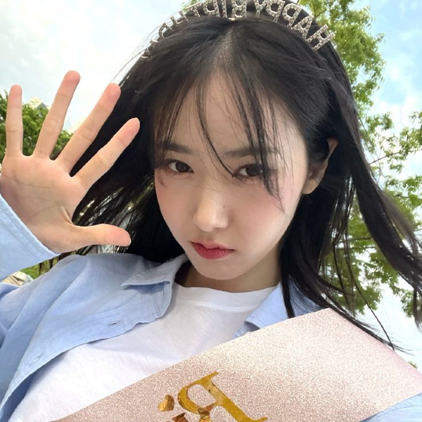SinB gallery image