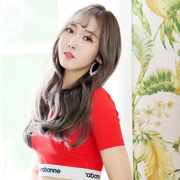 SinB gallery image