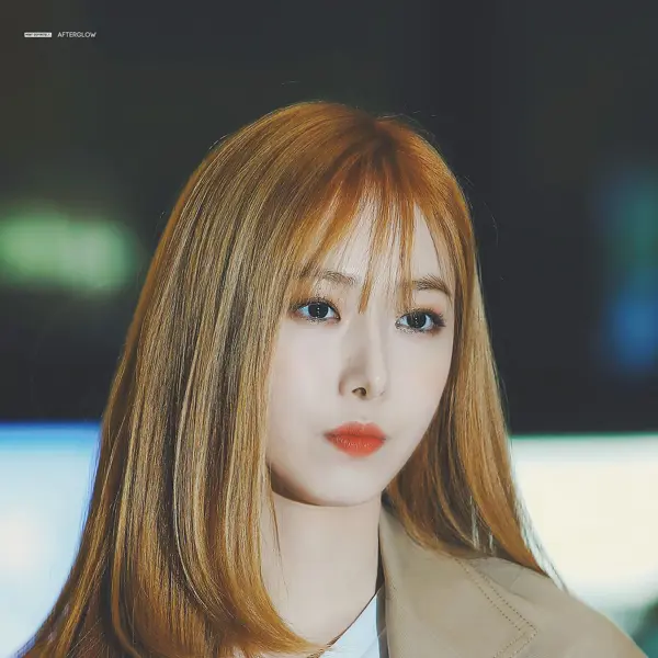 SinB gallery image