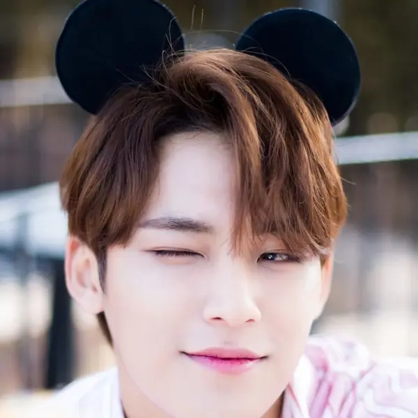 Mingyu gallery image