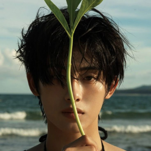 Winwin