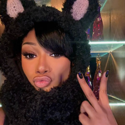 Megan Thee Stallion gallery image