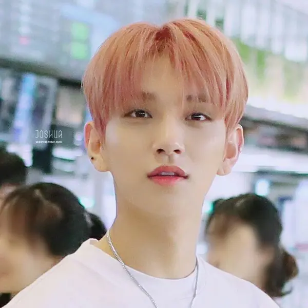 Joshua gallery image