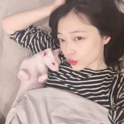 Sulli gallery image