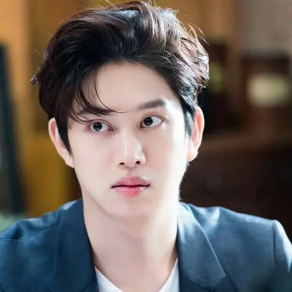Heechul gallery image