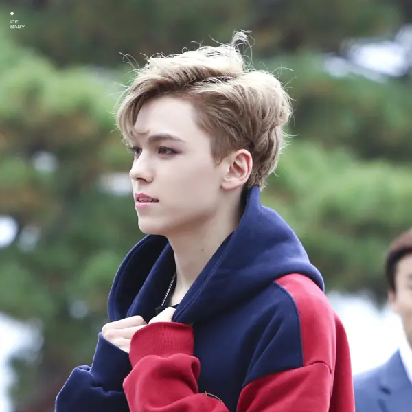 Vernon gallery image