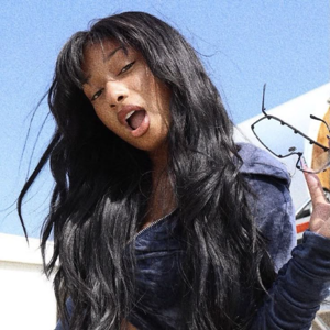 Megan Thee Stallion gallery image