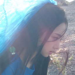 Leesol gallery image