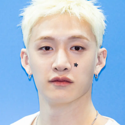 Bang Chan gallery image