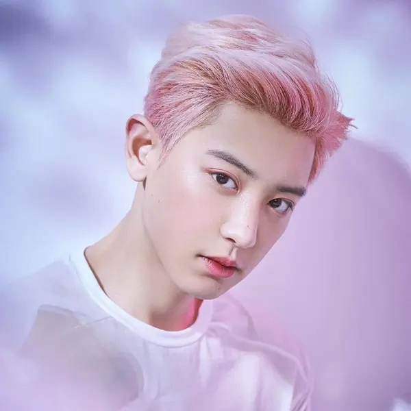 Chanyeol gallery image