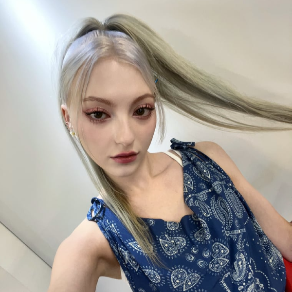 Nova 갤러리 이미지