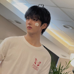 Jisung gallery image