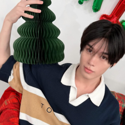 Prince gallery image