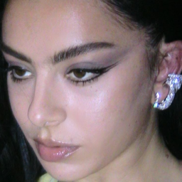 Charli xcx gallery image