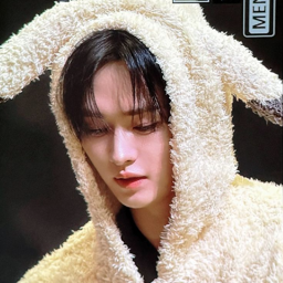 Lee Know gallery image