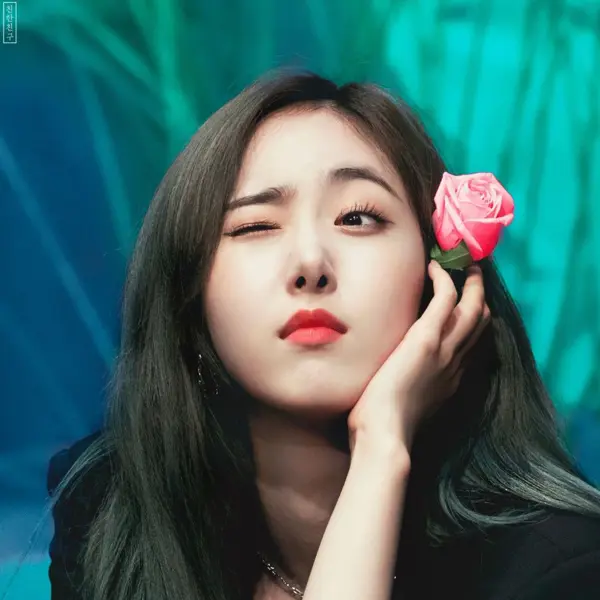 SinB gallery image