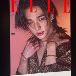 Hyunjin gallery image