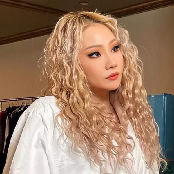 CL gallery image