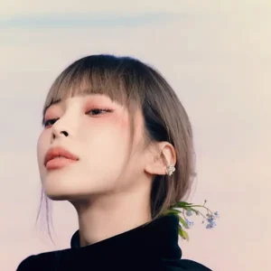 Heize gallery image