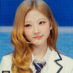 Stella gallery image