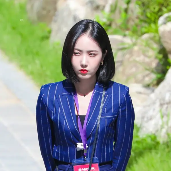 SinB gallery image