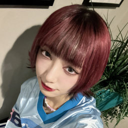 Matsuri gallery image