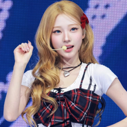 Stella gallery image