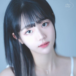 Chodan gallery image