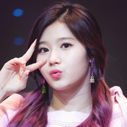 Sana gallery image