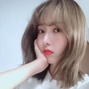 SinB gallery image
