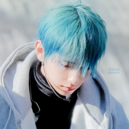 Joshua gallery image