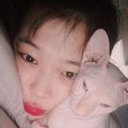 Sulli gallery image