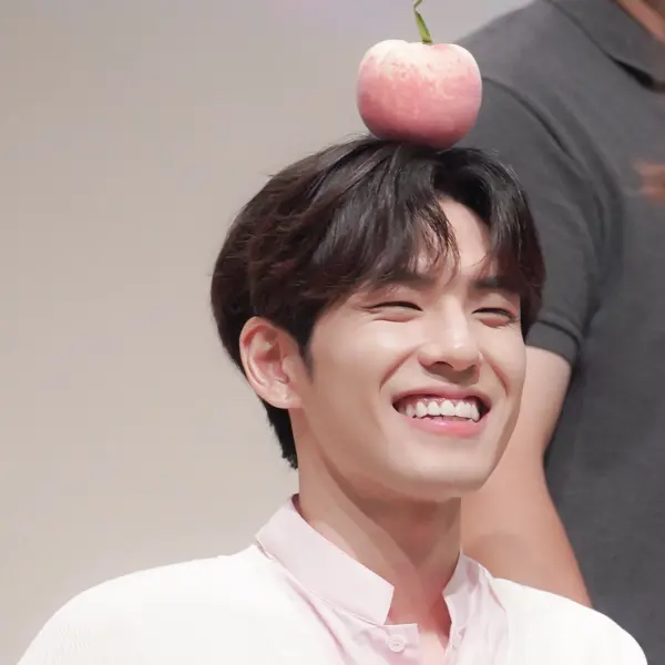 Wonpil gallery image