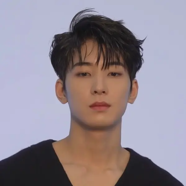 Wonwoo gallery image