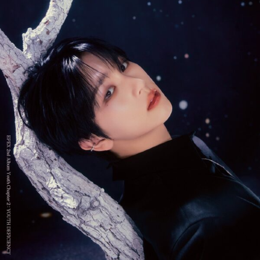 Imagen de la galería de Baeksung