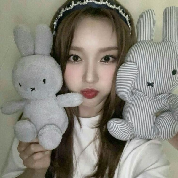 Go Won gallery image
