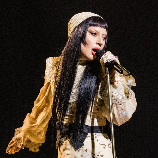 Lady Gaga gallery image