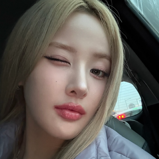 Belle的图库图片