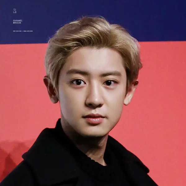 Chanyeol gallery image