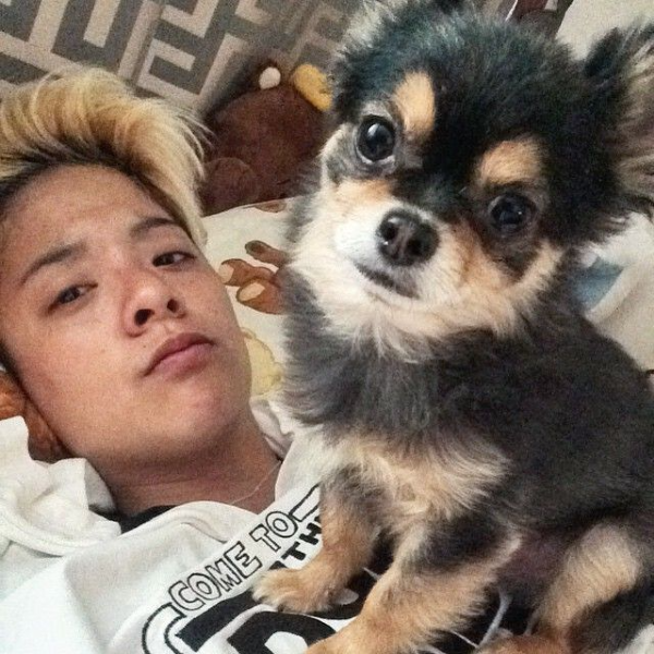 Gambar galeri Amber Liu