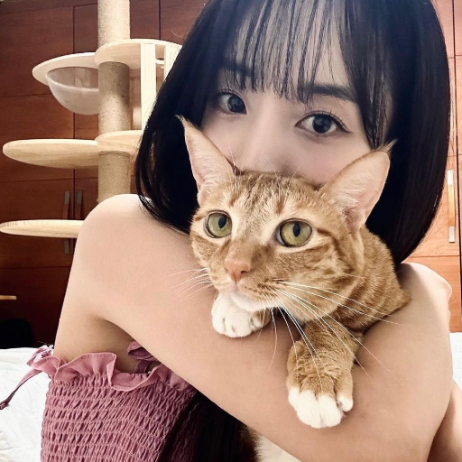 Gambar galeri Haeyoon