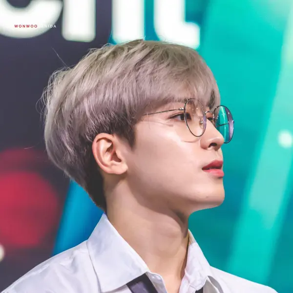 Wonwoo gallery image