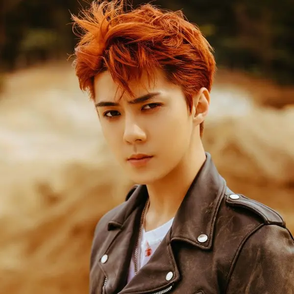 Sehun gallery image