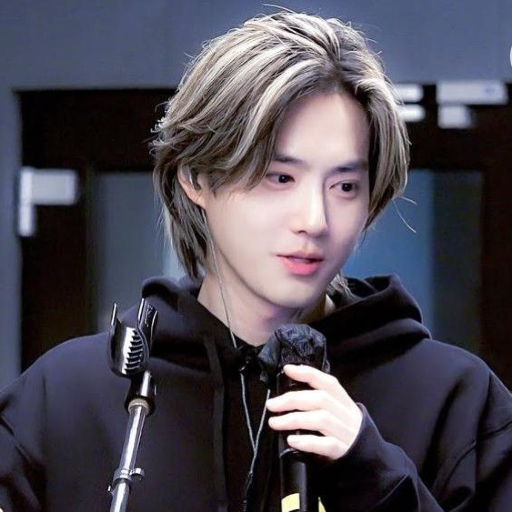 Suho gallery image