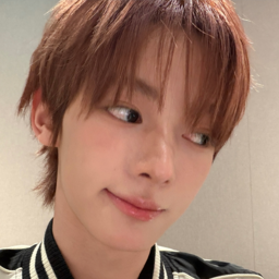 Hanjin gallery image