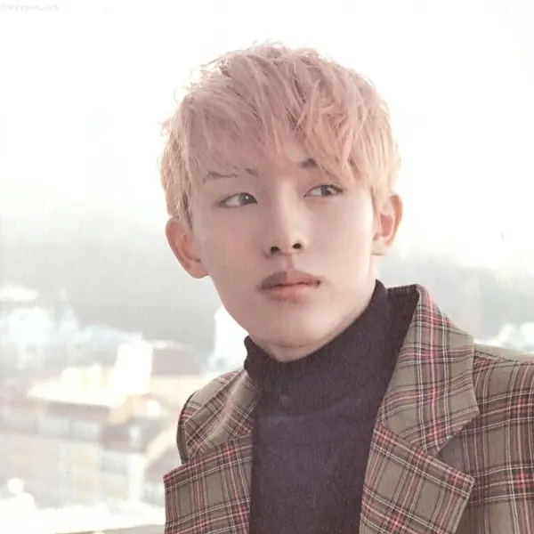 Winwin gallery image