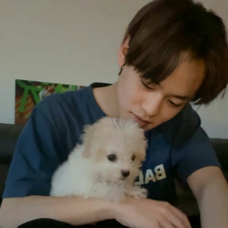 Chenle gallery image